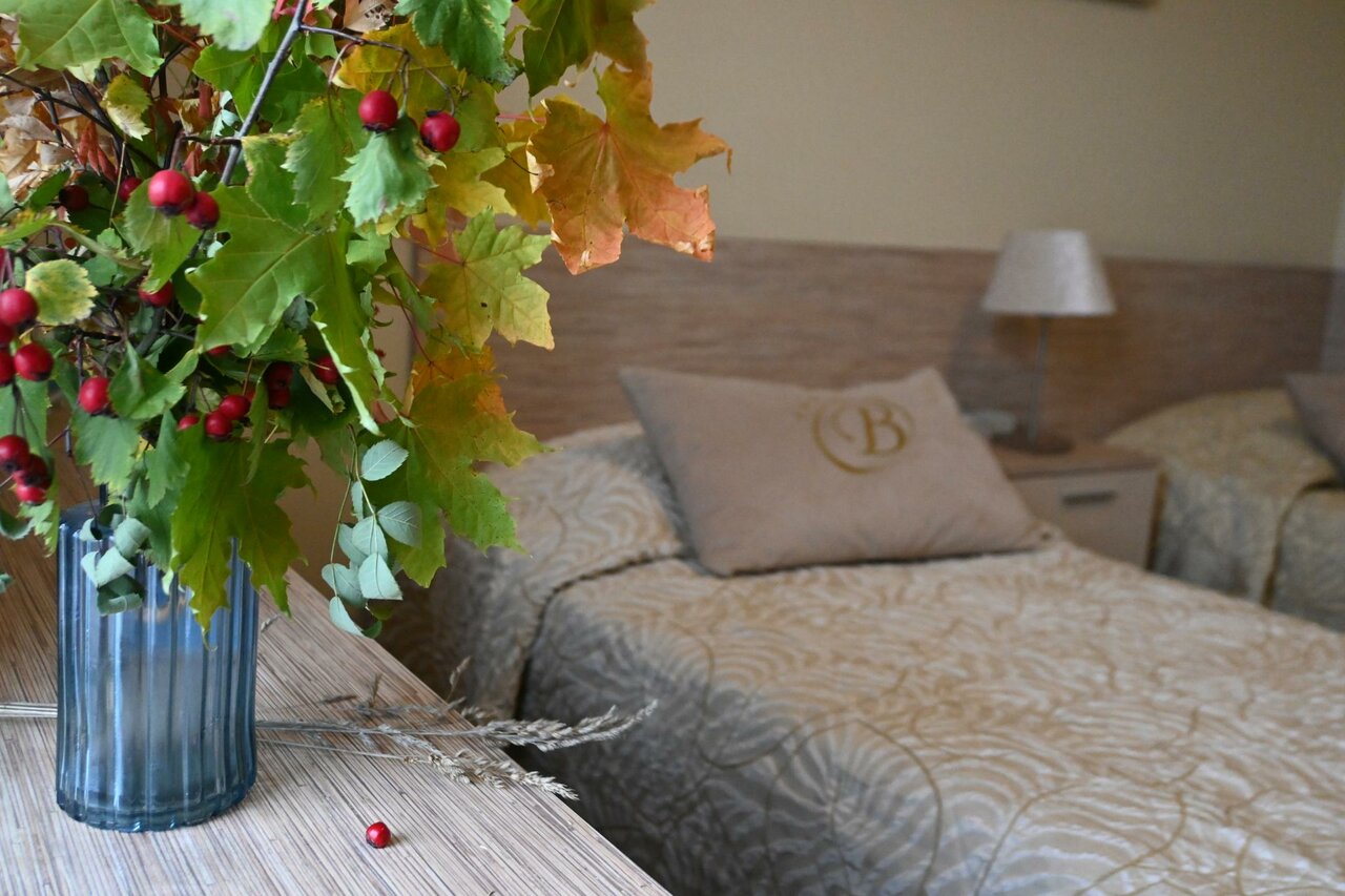 Гостиница Виктория Выборг-13