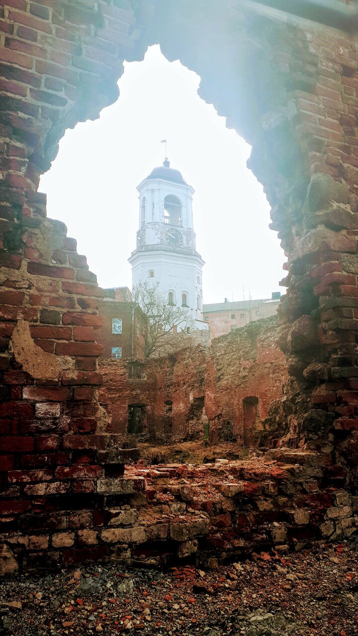 Гостиница Виктория Выборг-248