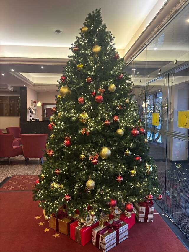 Гостиница Виктория Выборг-229